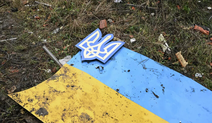 wp header logo17683020241717417395