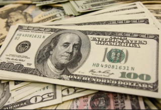 wp header logo1768305608873470550