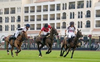 wp header logo17683128051603010552