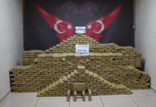 wp header logo1768320011492517104