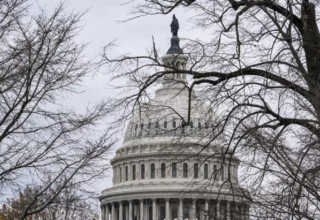 wp header logo1768348811472976368