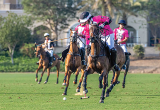 wp header logo1768352411113678358