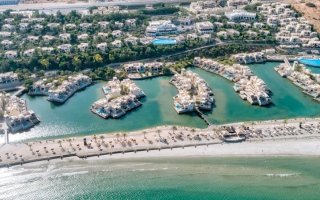 wp header logo1768352430556742522