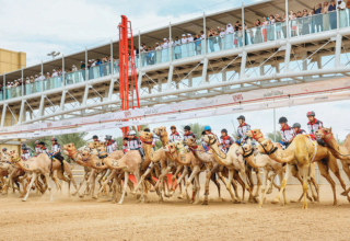 wp header logo17683524392078068987