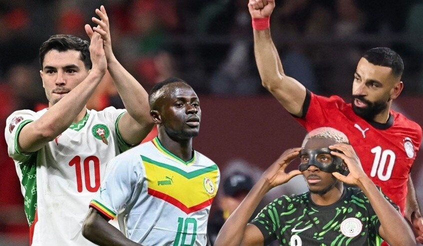 wp header logo17683704111302750178