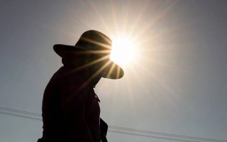 wp header logo1768374006453790278