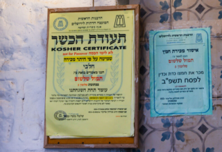 wp header logo17683740111490332053