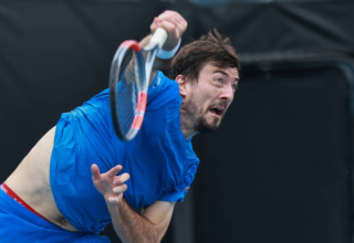 wp header logo17683776111856105361