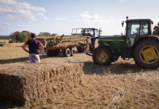 wp header logo17683848101546447417