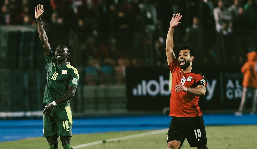 wp header logo1768406412662675937