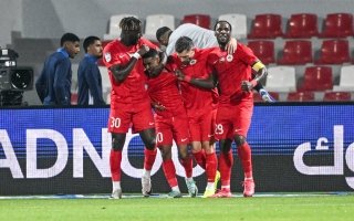 wp header logo17684136091207101964