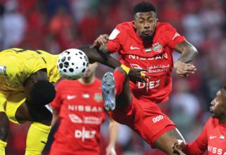 wp header logo1768428010191020965