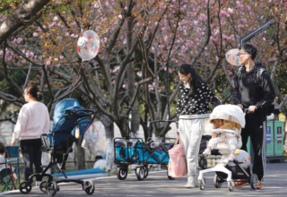 wp header logo17684388072134375070