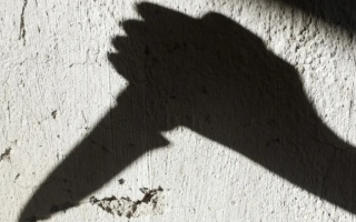 wp header logo1768446009332461361