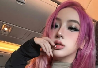 wp header logo17684532111905105870