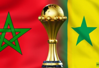 wp header logo17684532131958517585