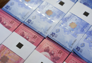 wp header logo17684640281854143347