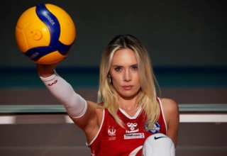 wp header logo17684712121433617133