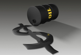 wp header logo1768474831797309873