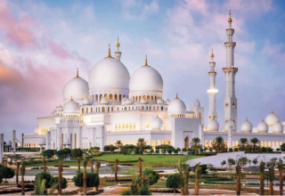 wp header logo17684784361382993048