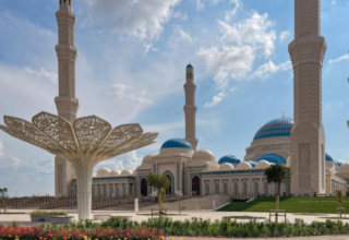 wp header logo17684856181650209644