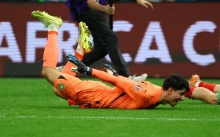 wp header logo17684856371217749590