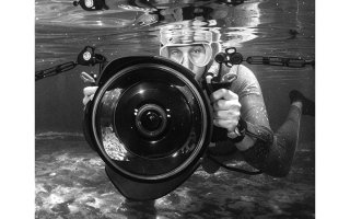 wp header logo17685252182055945986