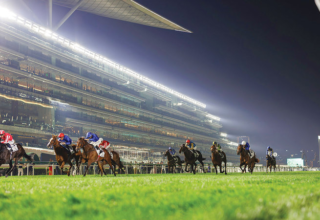 wp header logo17685252301767808841