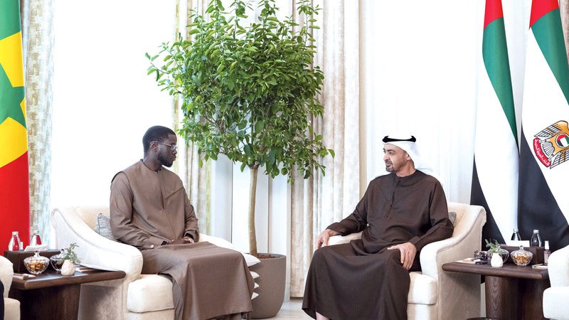 wp header logo17685252411051155351