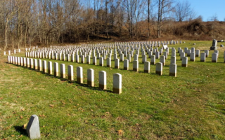 wp header logo17685360111428664590