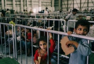 wp header logo17685396091282679969