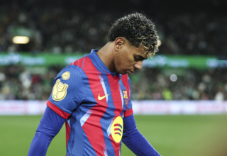 wp header logo17685576371654064058