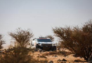 wp header logo1768561225830540548