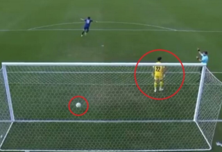 wp header logo17685936091643460961