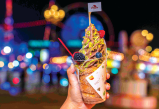 wp header logo17686116111331134244