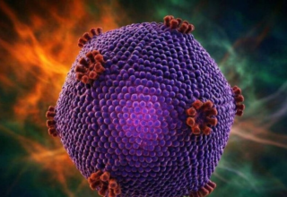 wp header logo17686296102076355387