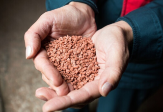 wp header logo1768636808508465813