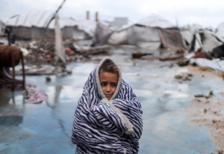 wp header logo1768644013724181767