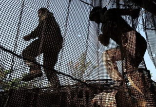 wp header logo17686440261067177312