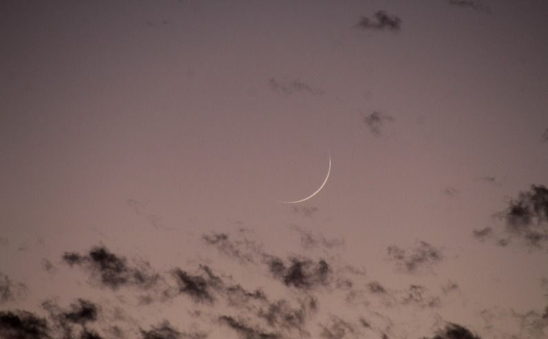 wp header logo17686620102020316418