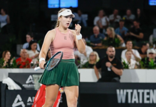 wp header logo1768662020269856684