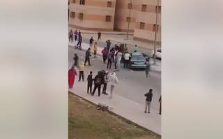 wp header logo176866560984311564