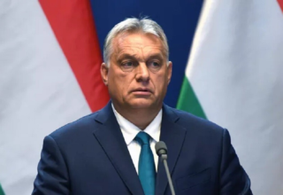 wp header logo17686692411651554827