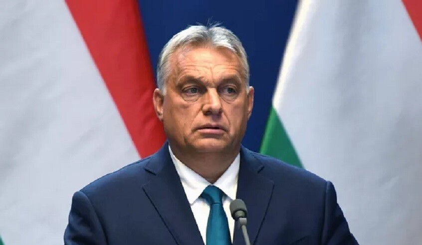 wp header logo17686692411651554827