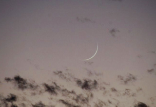 wp header logo17686836171762112233