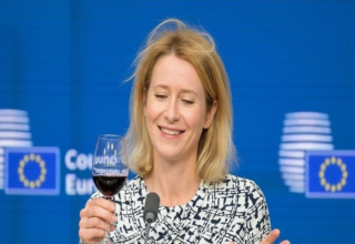 wp header logo17687160111415852879