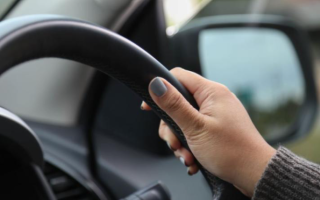 wp header logo1768726809917637076