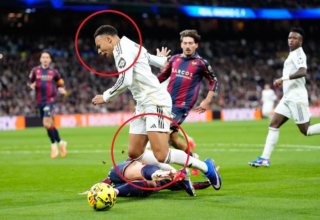 wp header logo1768744809780648494