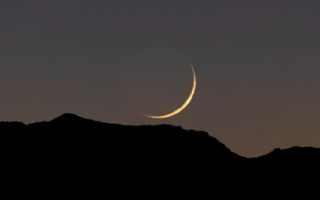 wp header logo1768759215245412491