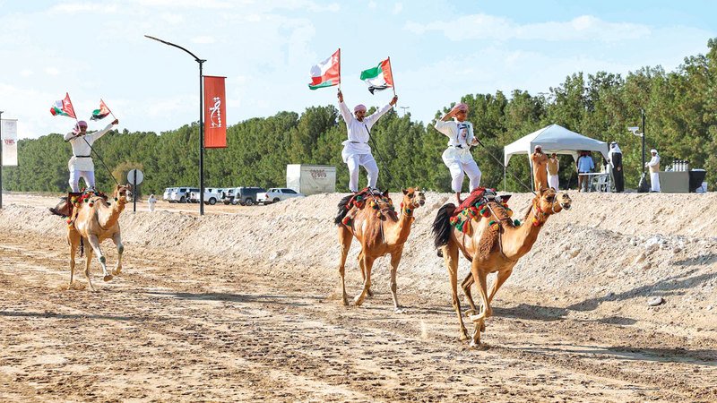 wp header logo176877360610938326